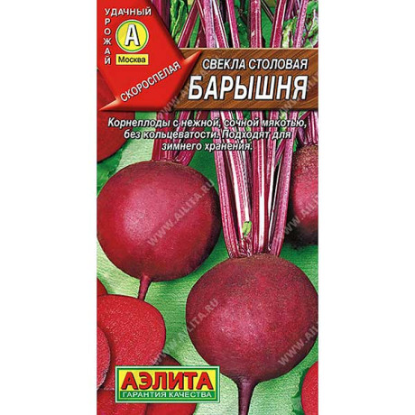 Свекла Барышня Аэлита Ц