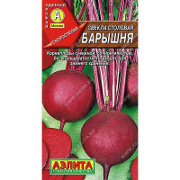 Свекла Барышня Аэлита Ц