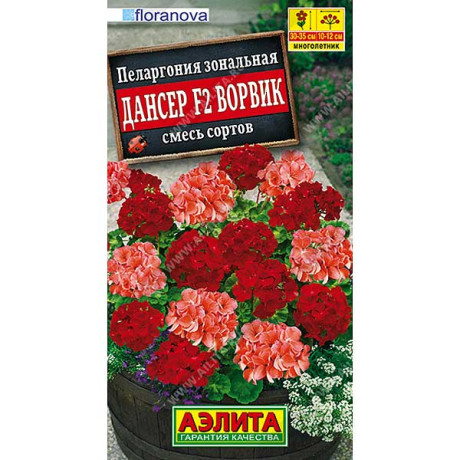 Пеларгония Дансер Ворвик Аэлита Ц