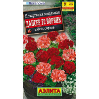Пеларгония Дансер Ворвик Аэлита Ц