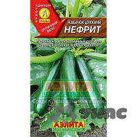 Кабачок цукини Нефрит Аэлита Ц