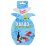 ЯРКОЕ ЛЕТО Хладоаккумулятор, 260 грамм, 19х12,5 см, пластик