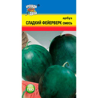 Арбуз Сладкий фейерверк Урожай у дачи Ц