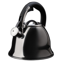 VETTA Чайник стальной 2,7л "Мари", индукция