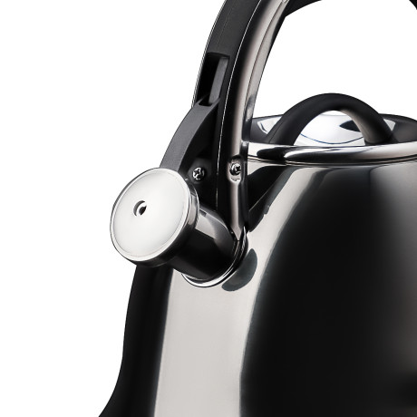 VETTA Чайник стальной 2,7л "Мари", индукция