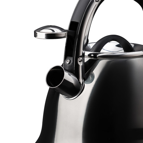 VETTA Чайник стальной 2,7л "Мари", индукция