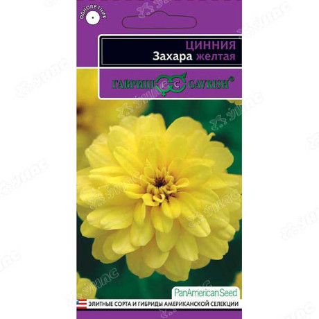 Циния Захара желтая Гавриш Ц