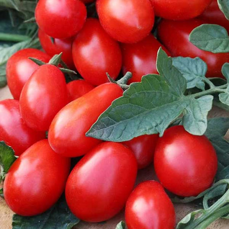 Томат Сладкий виноград  НК Ц