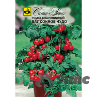 Семена Томат Балконное чудо Семко
