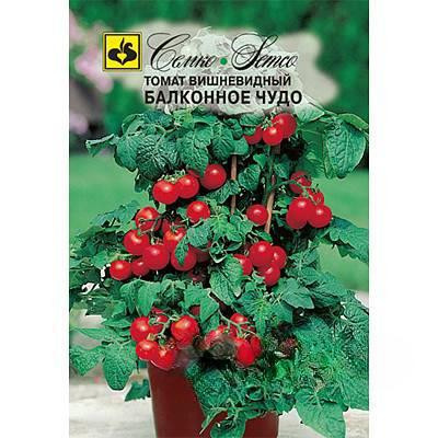 Семена Томат Балконное чудо Семко