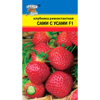 Клубника Сами с усами Урожай у дачи Ц