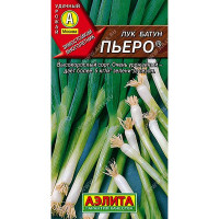 Лук батун Пьеро Аэлита Ц