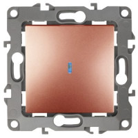 ЭРА 12 мех. выкл. СУ 1 кл. 10А инд. медь, автоклеммы 12-1102-14 2838