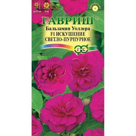 Бальзамин Уоллера Искушение  свет-пурпурное Гавриш Ц