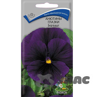 Анютины глазки Бергвашт Поиск Ц