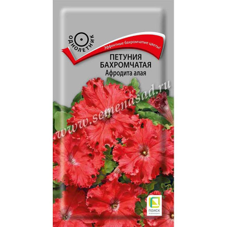 Петуния Афродита алая Поиск Ц