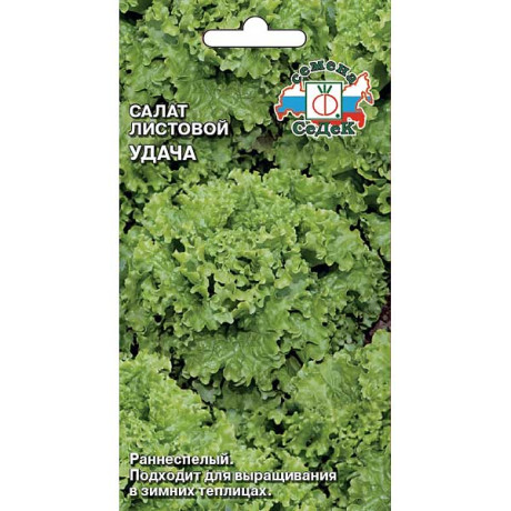 Салат Удача Седек Ц