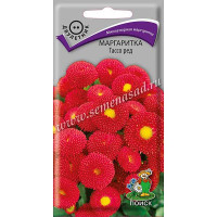 Маргаритка Тассо ред Поиск Ц
