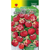 Земляника Садовый Гигант Цвет сад Ц