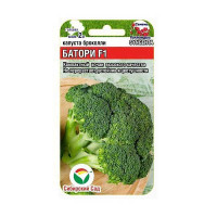 Капуста брокколи Батори СибСад