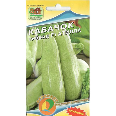 Кабачок Атилла Наш сад Ц