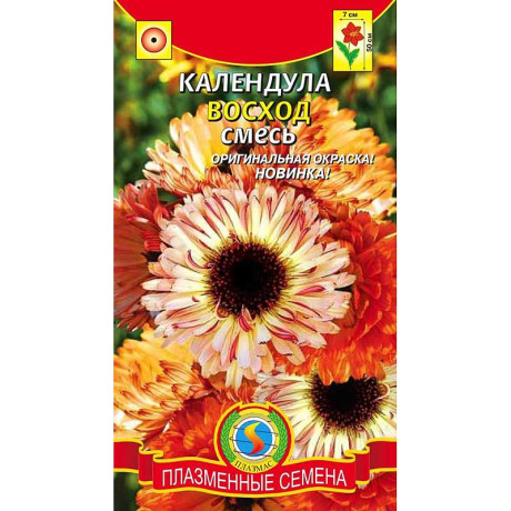 Календула Восход Плазма Ц