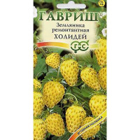 Земляника Холидей Гавриш Ц