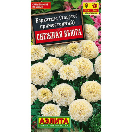 Бархатцы Снежная вьюга Аэлита Ц