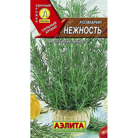 Розмарин Нежность Аэлита Ц