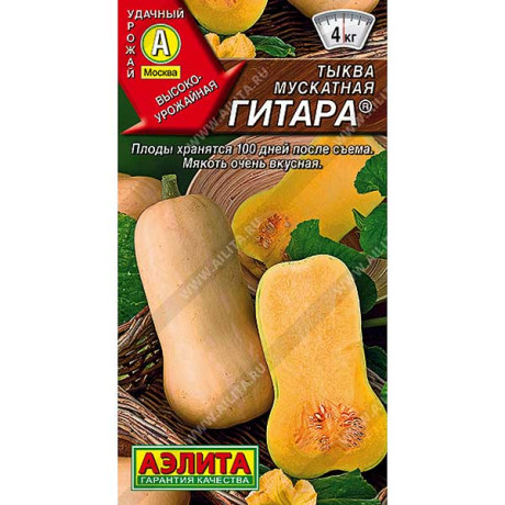 Тыква Гитара Аэлита Ц