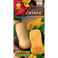 Тыква Гитара Аэлита Ц