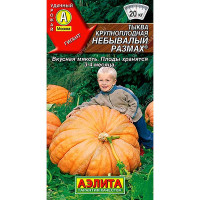 Тыква Небывалый размах Аэлита Ц
