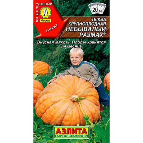 Тыква Небывалый размах Аэлита Ц