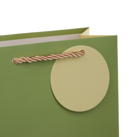 Пакет подарочный тм Fntastic S14,3x15,5x7см, бумага, 6 дизайнов