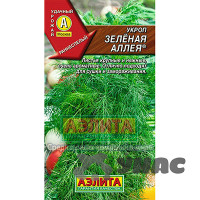 Укроп Зеленая аллея Аэлита Ц