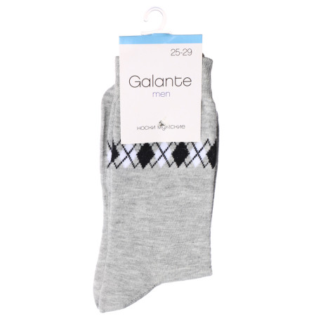 GALANTE Носки мужские, р.27-29, 85% хлопок,10% полиэстер, 5% спандекс, разноцветные, НВ22-09