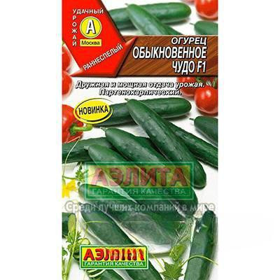 Огурец Обыкновенное чудо Аэлита Ц