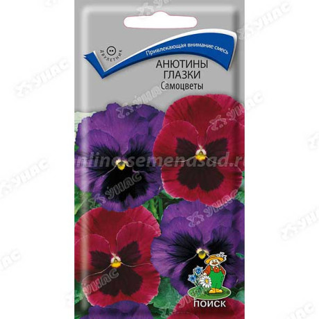 Анютины глазки Самоцветы Поиск Ц