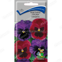 Анютины глазки Самоцветы Поиск Ц