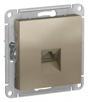 Systeme Electric AtlasDesign мех. роз. комп. СУ 1 мест. шампань (пл.осн., RJ45) ATN000583 (5!)