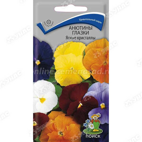 Анютины глазки Ясные кристаллы Поиск Ц