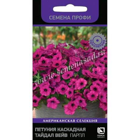 Петуния Тайдал Вейв Парпл Поиск Ц