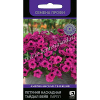 Петуния Тайдал Вейв Парпл Поиск Ц