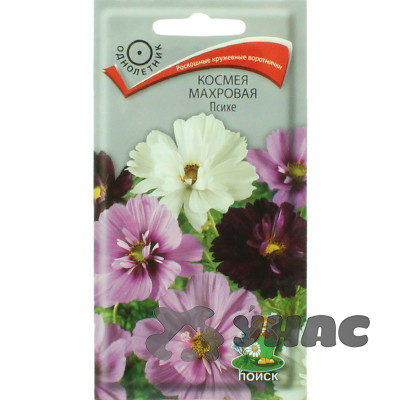 Космея Психе махр. Поиск Ц