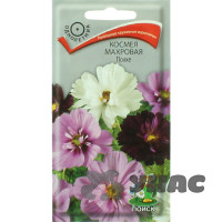 Космея Психе махр. Поиск Ц