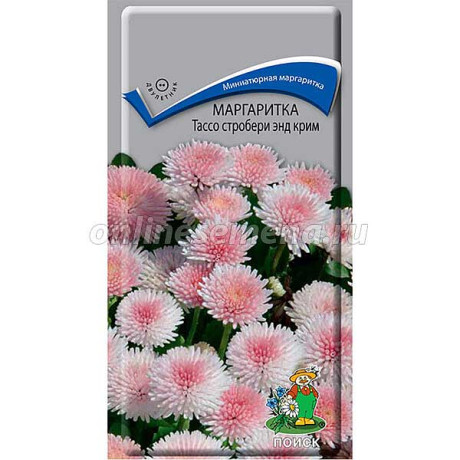 Маргаритка Тассо стробери энд крим Поиск Ц