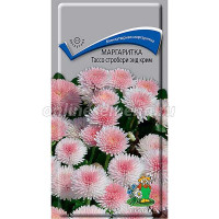 Маргаритка Тассо стробери энд крим Поиск Ц