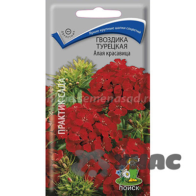 Гвоздика турецкая Алая красавица Поиск Ц
