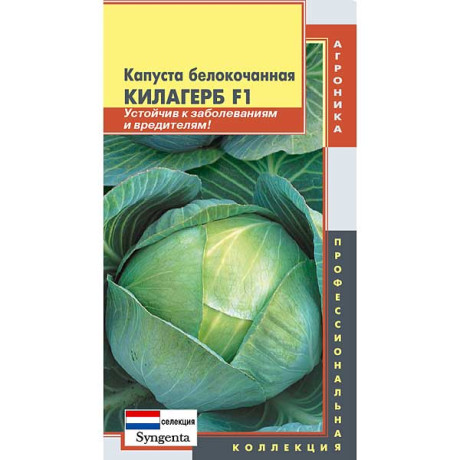 Капуста Килагерб Плазма Ц