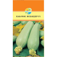Кабачок Искандер Маринда/Акварель